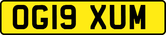 OG19XUM