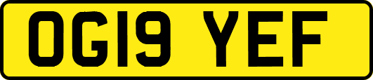 OG19YEF