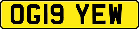OG19YEW