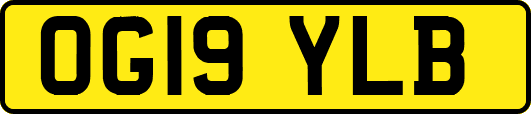 OG19YLB
