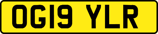 OG19YLR