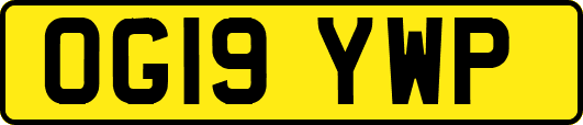 OG19YWP