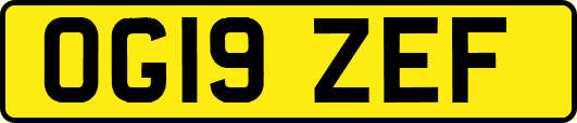 OG19ZEF