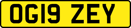 OG19ZEY