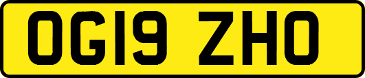 OG19ZHO