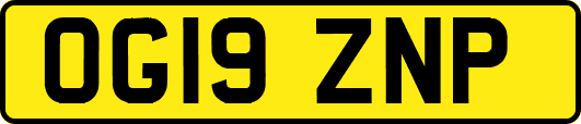 OG19ZNP