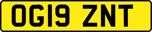 OG19ZNT