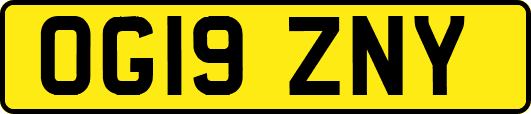 OG19ZNY