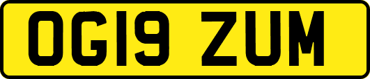 OG19ZUM