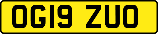 OG19ZUO