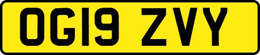 OG19ZVY
