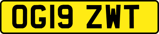 OG19ZWT