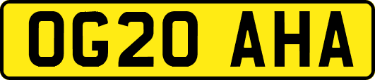 OG20AHA