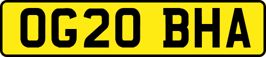 OG20BHA
