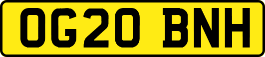 OG20BNH