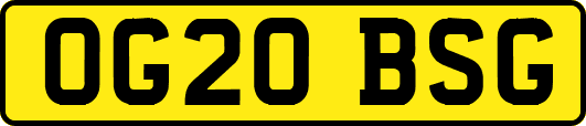 OG20BSG