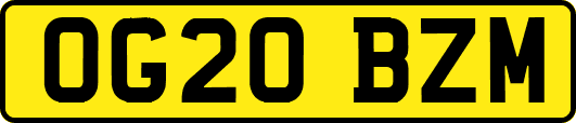 OG20BZM