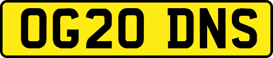 OG20DNS