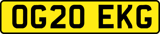 OG20EKG