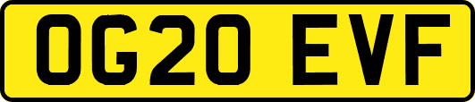 OG20EVF