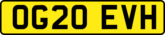 OG20EVH