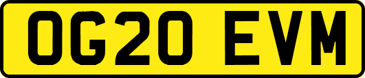 OG20EVM