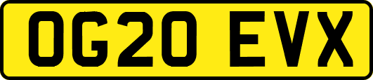 OG20EVX