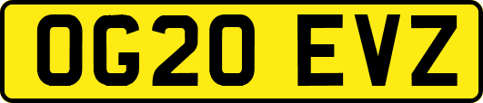 OG20EVZ