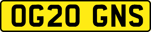 OG20GNS