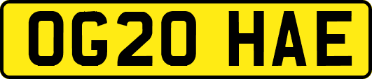 OG20HAE