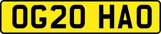 OG20HAO
