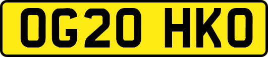 OG20HKO