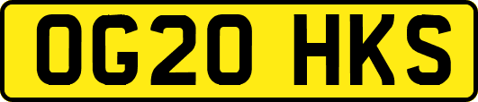 OG20HKS
