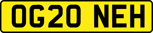 OG20NEH