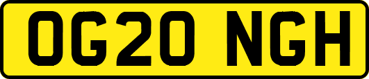 OG20NGH