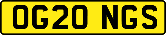 OG20NGS