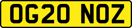OG20NOZ