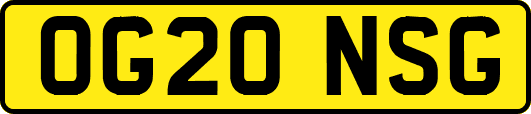 OG20NSG