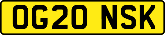 OG20NSK