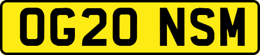OG20NSM