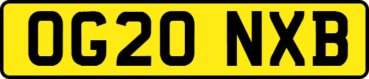 OG20NXB