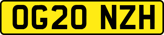 OG20NZH