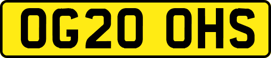 OG20OHS