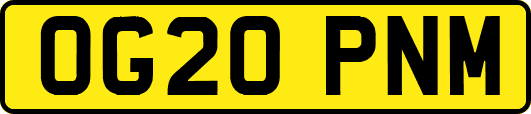 OG20PNM