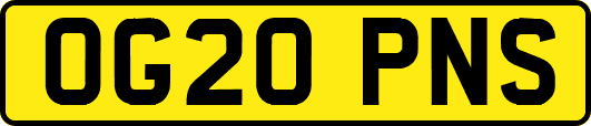 OG20PNS