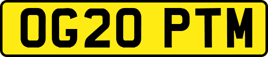 OG20PTM