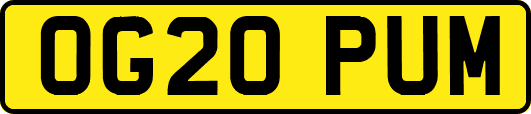 OG20PUM