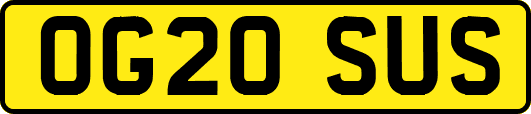 OG20SUS