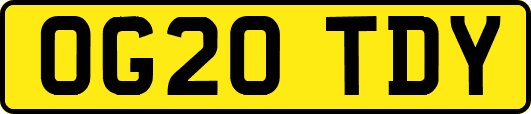 OG20TDY