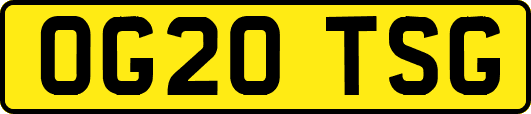 OG20TSG